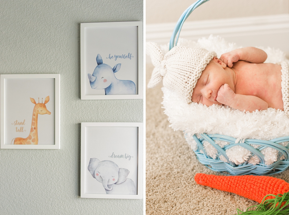 Sacramento Newborn Portraits by Adrienne and Dani