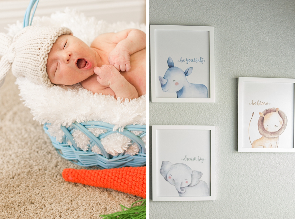 Sacramento Newborn Portraits by Adrienne and Dani