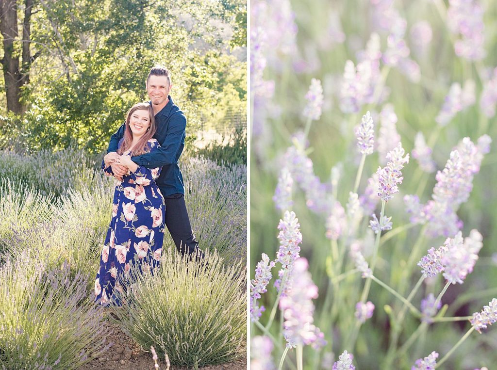 Cache creek lavender farm lavender by Adrienne and Dani Photography