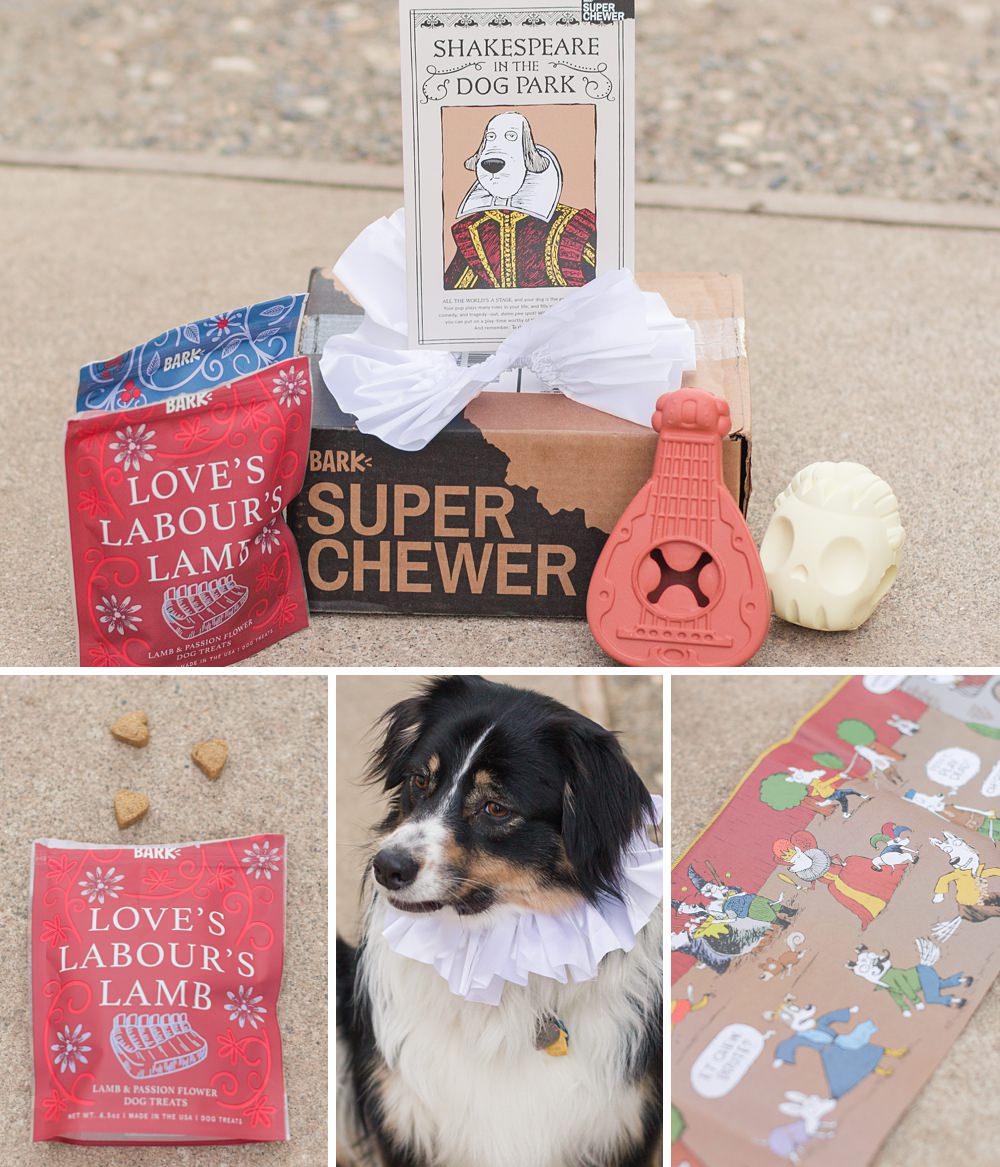 April 2019 Barkbox for Super Chewers by Adrienne and Dani Photography