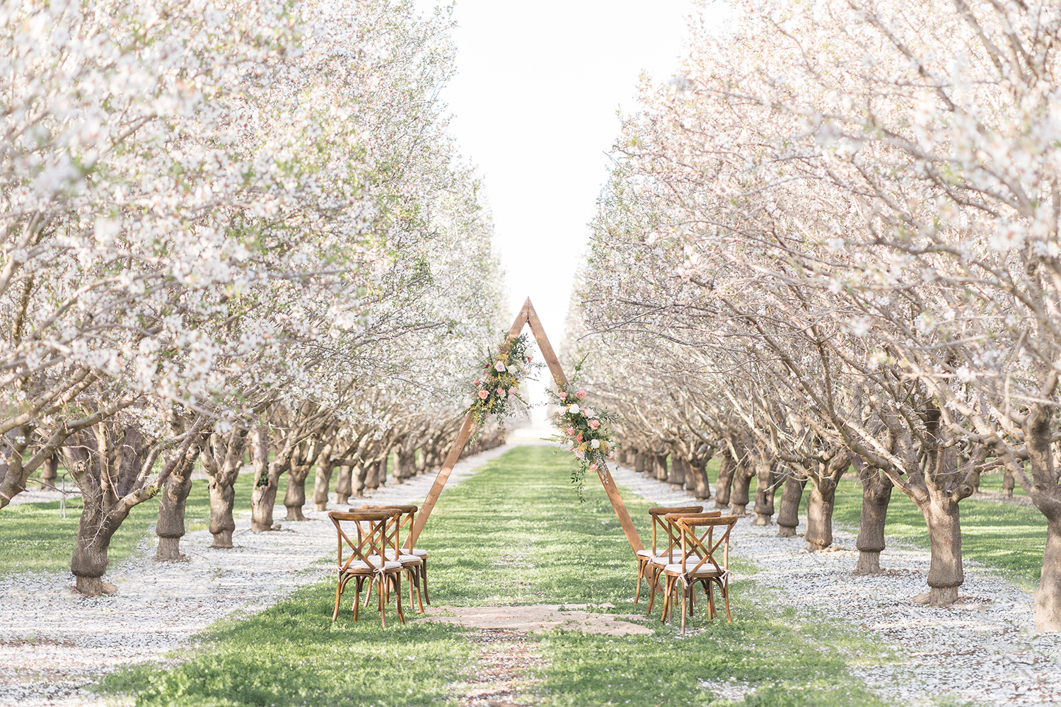a triangle wedding ceremony arch with floral decor nestled in the almond blossoms