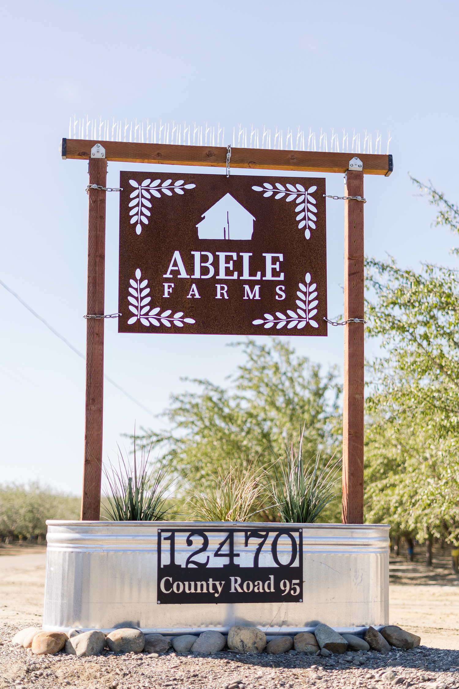 abele farms wedding venue woodland ca by adrienne and dani photography