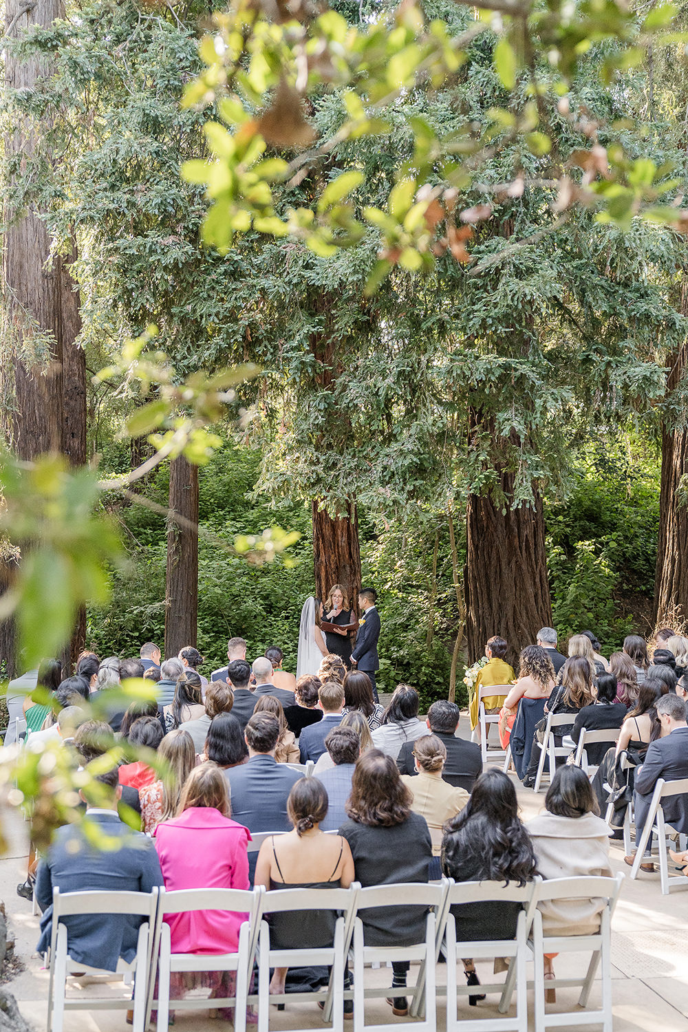 a tree lined wedding ceremony for a Piedmont Park Wedding