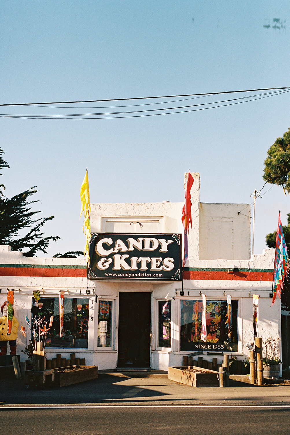 Candy and Kites in Bodega Bay, CA photographed on Kodak Portra 400 Film