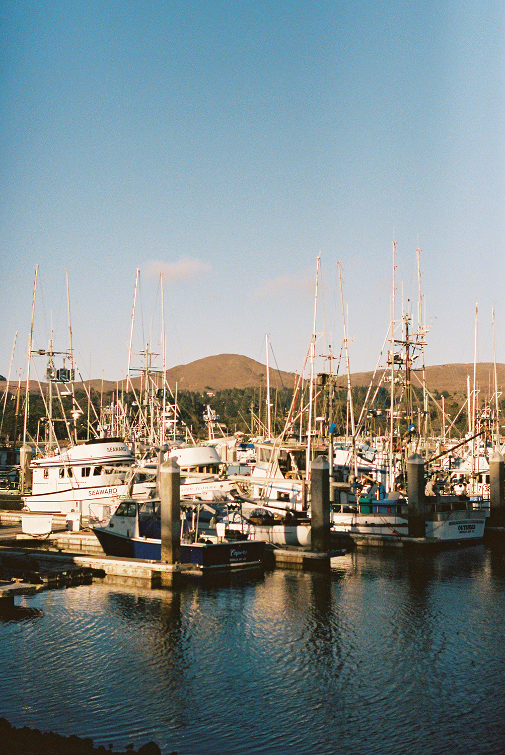 Bodega Bay beaches photographed on Kodak Portra 400 Film