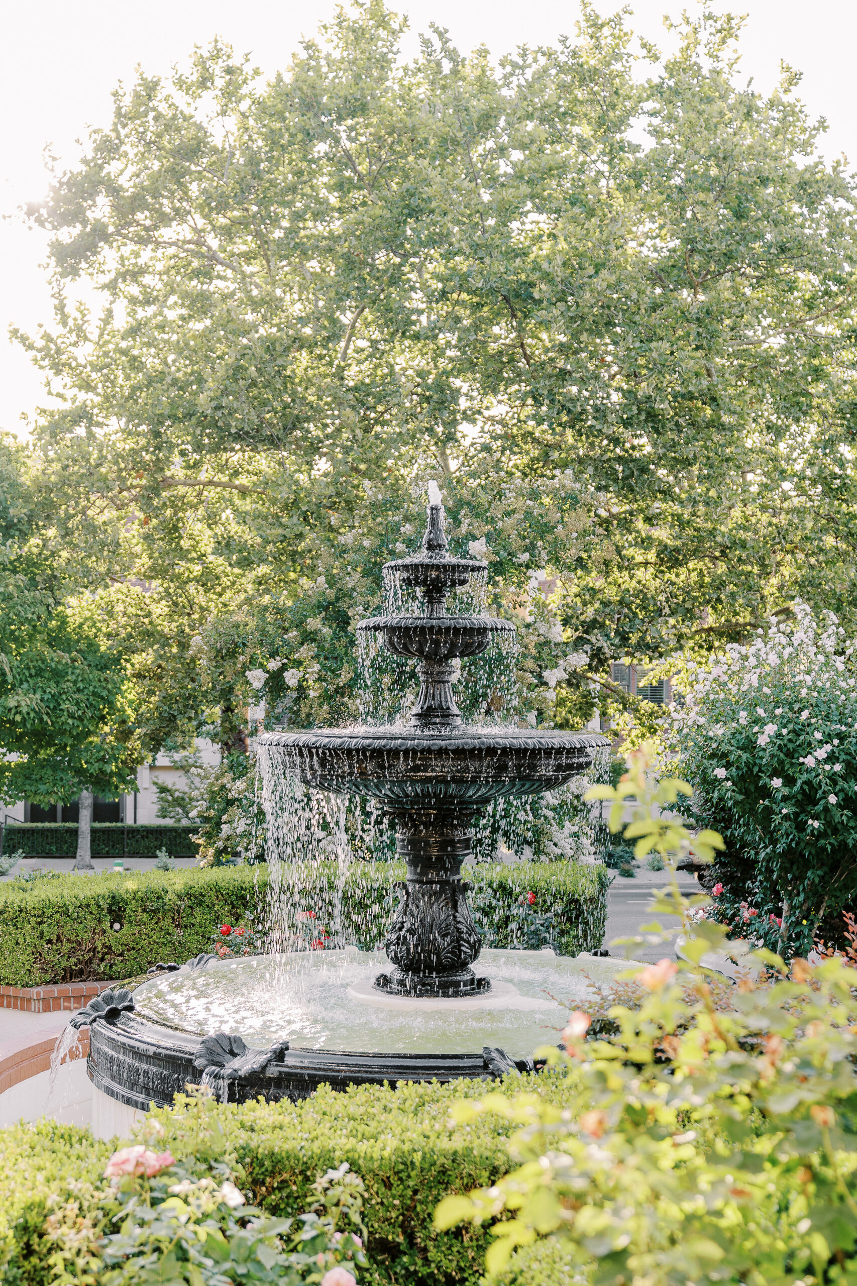 the fountain at the front of the Downtown Sacramento Vizcaya Wedding 