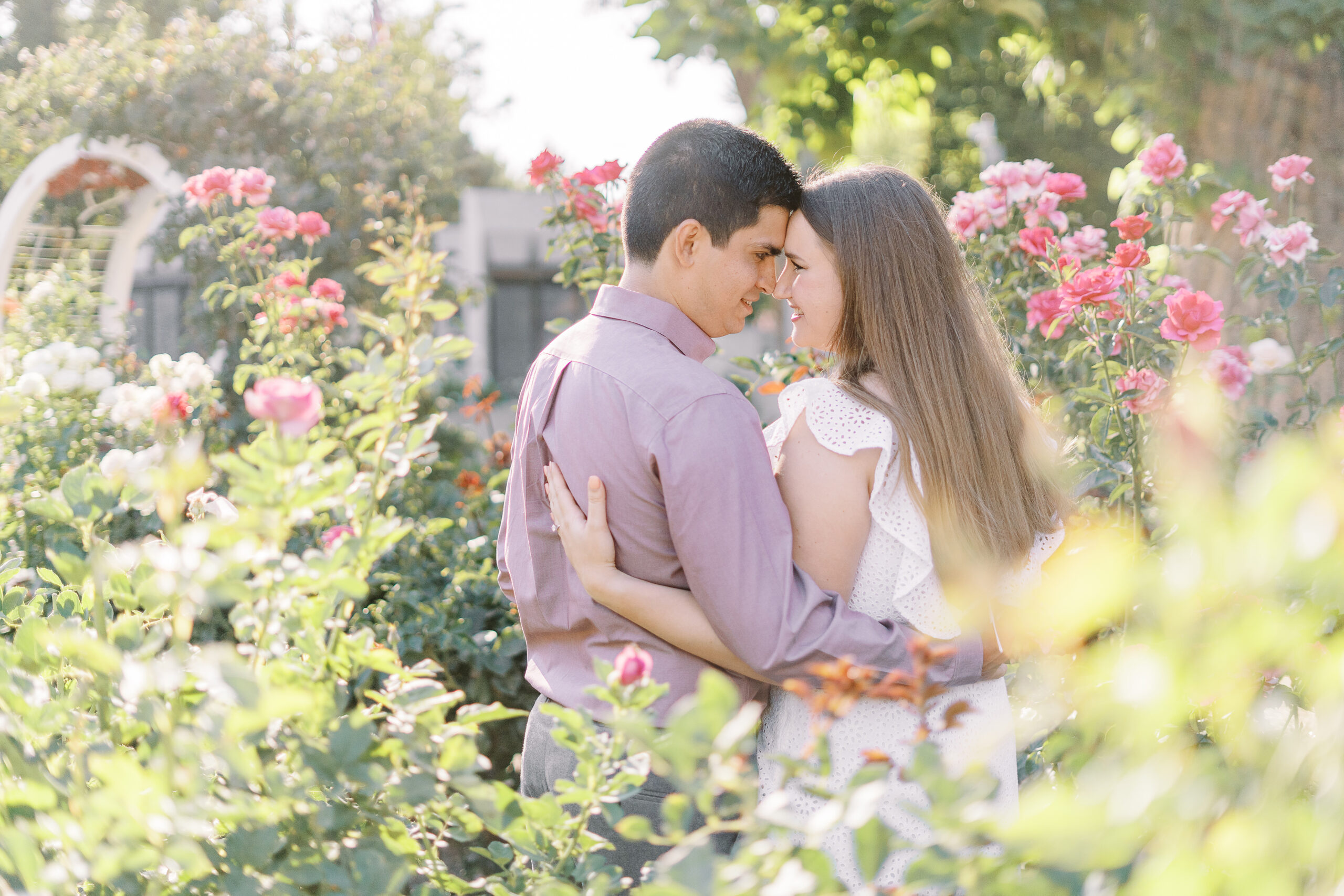 an engaged couple shares a hug in the roses of the Downtown Sacramento Capitol rose garden