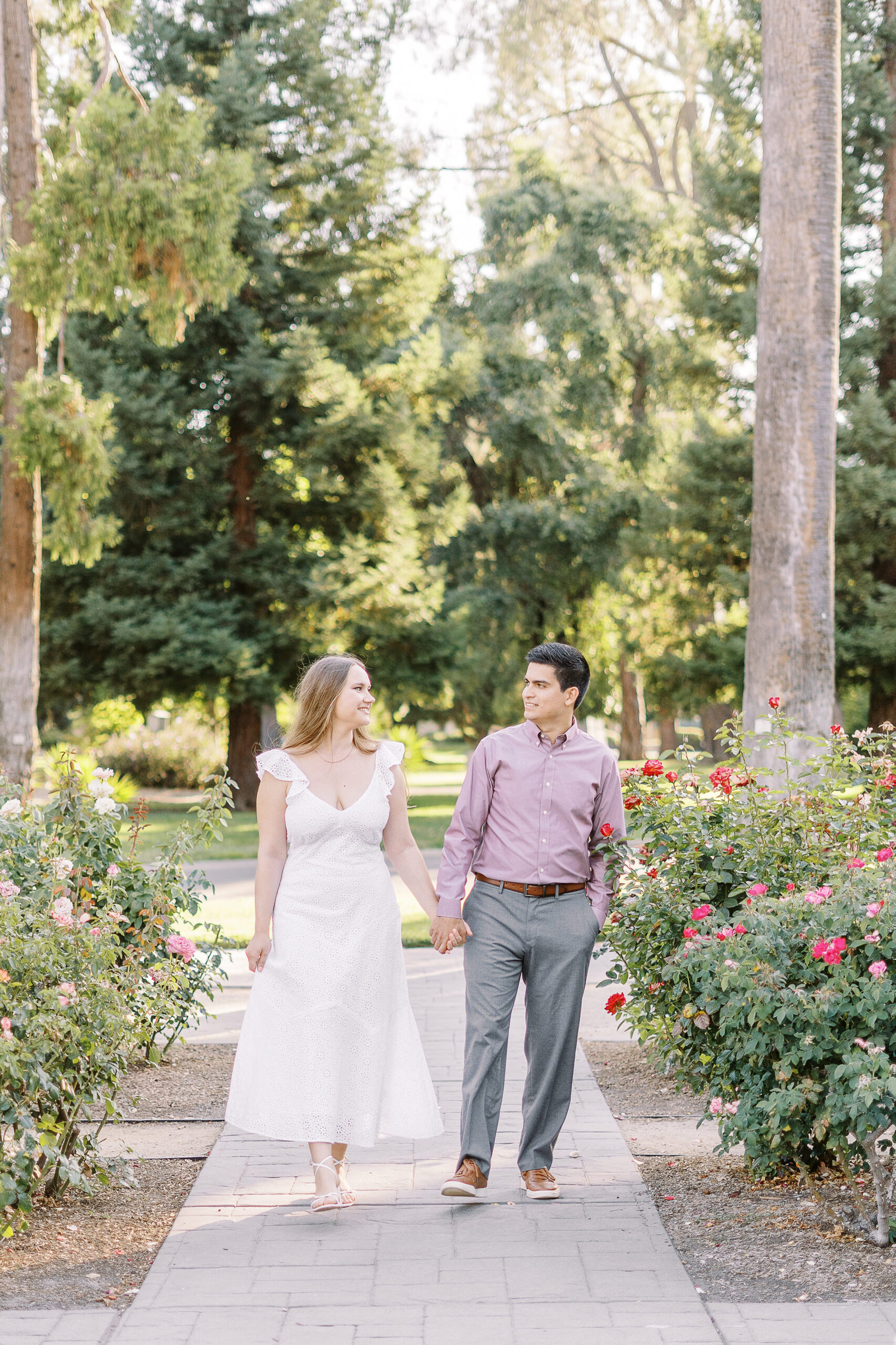 an engaged couple walks together holding hands in the rose bushes for their Downtown Sacramento Capitol Engagement 