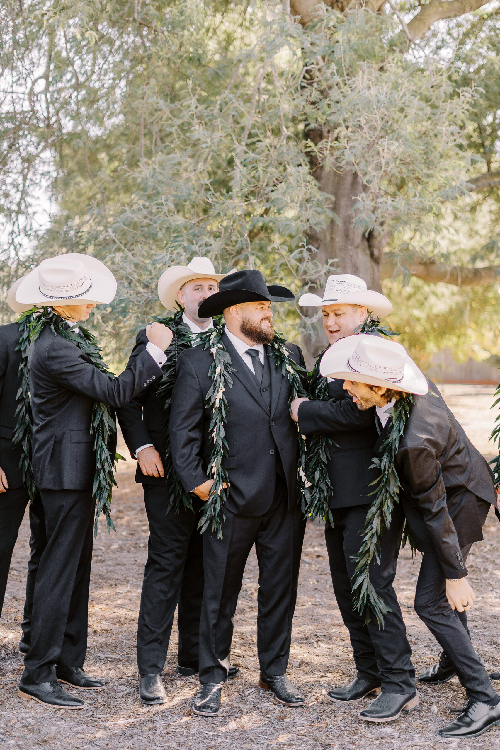 a large 18 person wedding party featuring black suits and white cowboy hats for the gentlemen for a sonoma winery wedding.