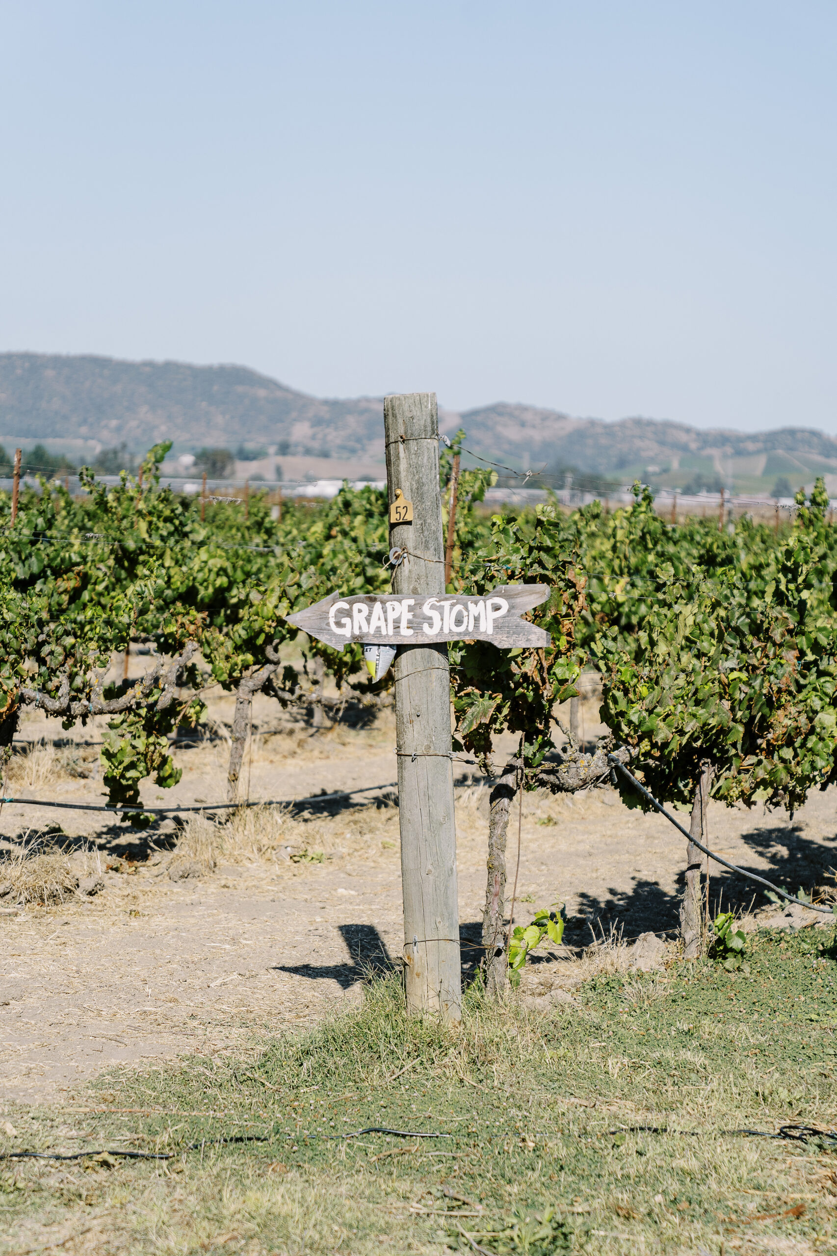 details at a sonoma winery wedding ceremony