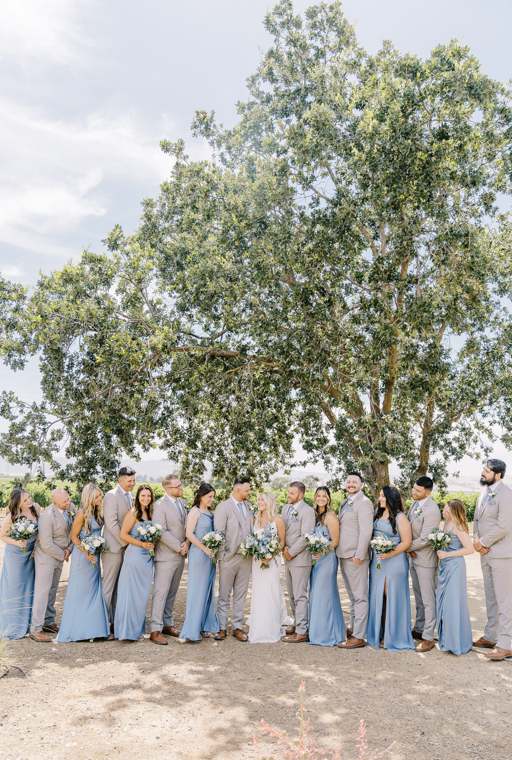 grindstone winery wedding party portrait photos by Sacramento wedding photographers Adrienne and Dani Photography 