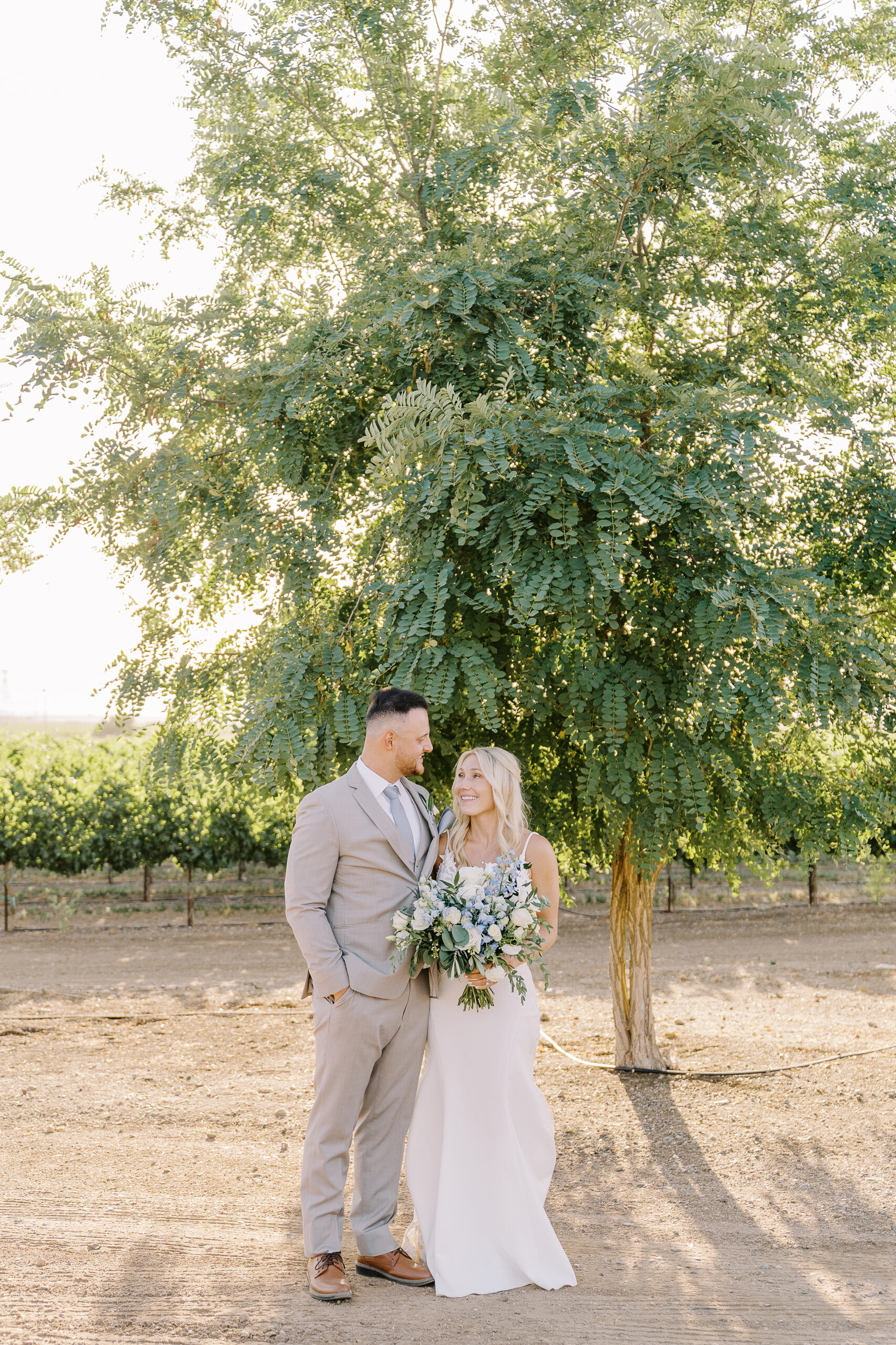 grindstone winery wedding bride and groom sunset photos by Sacramento wedding photographers Adrienne and Dani Photography 
