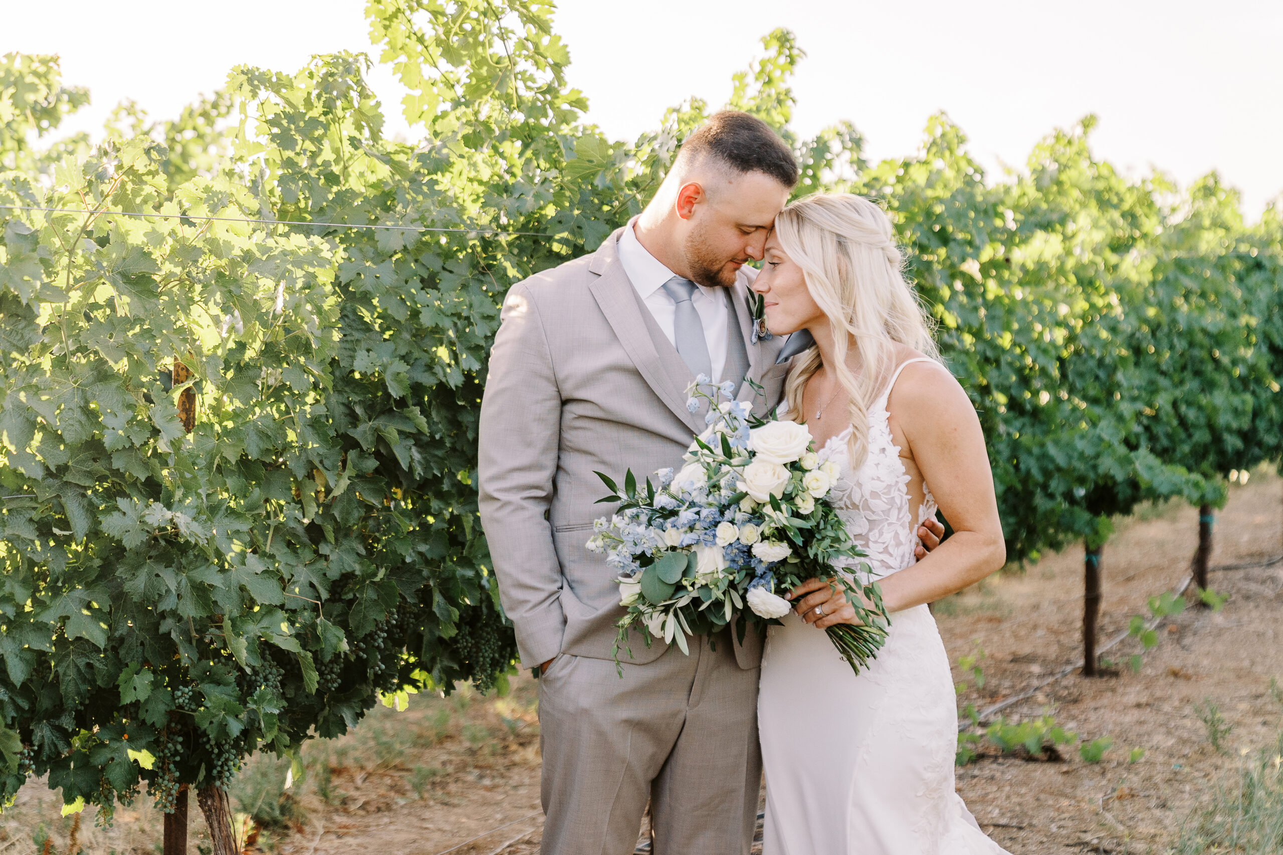 grindstone winery wedding bride and groom sunset photos by Sacramento wedding photographers Adrienne and Dani Photography 
