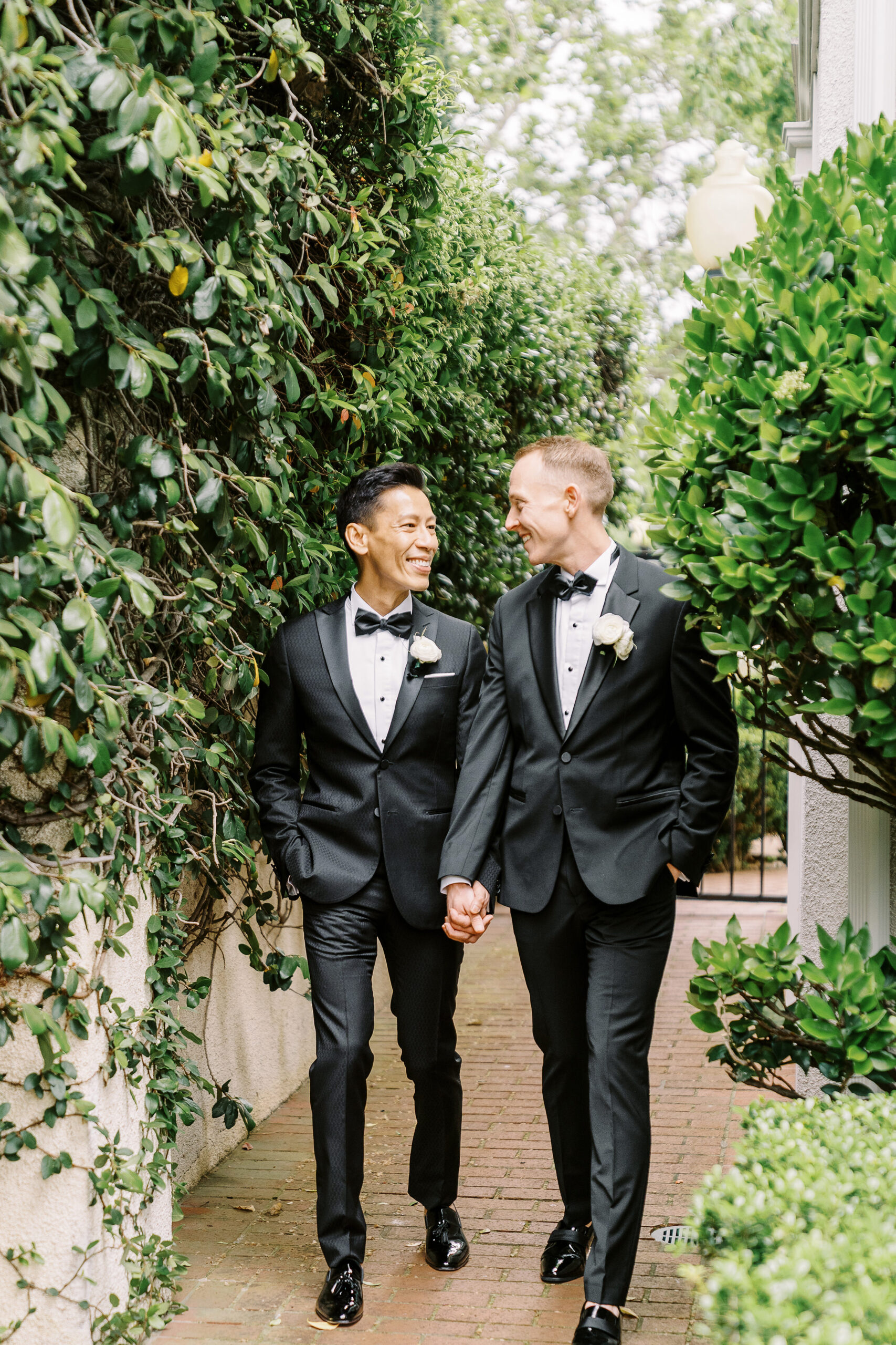 two grooms walk and laugh holding hands in front of an ivy covered wall at their vizcaya sacramento wedding