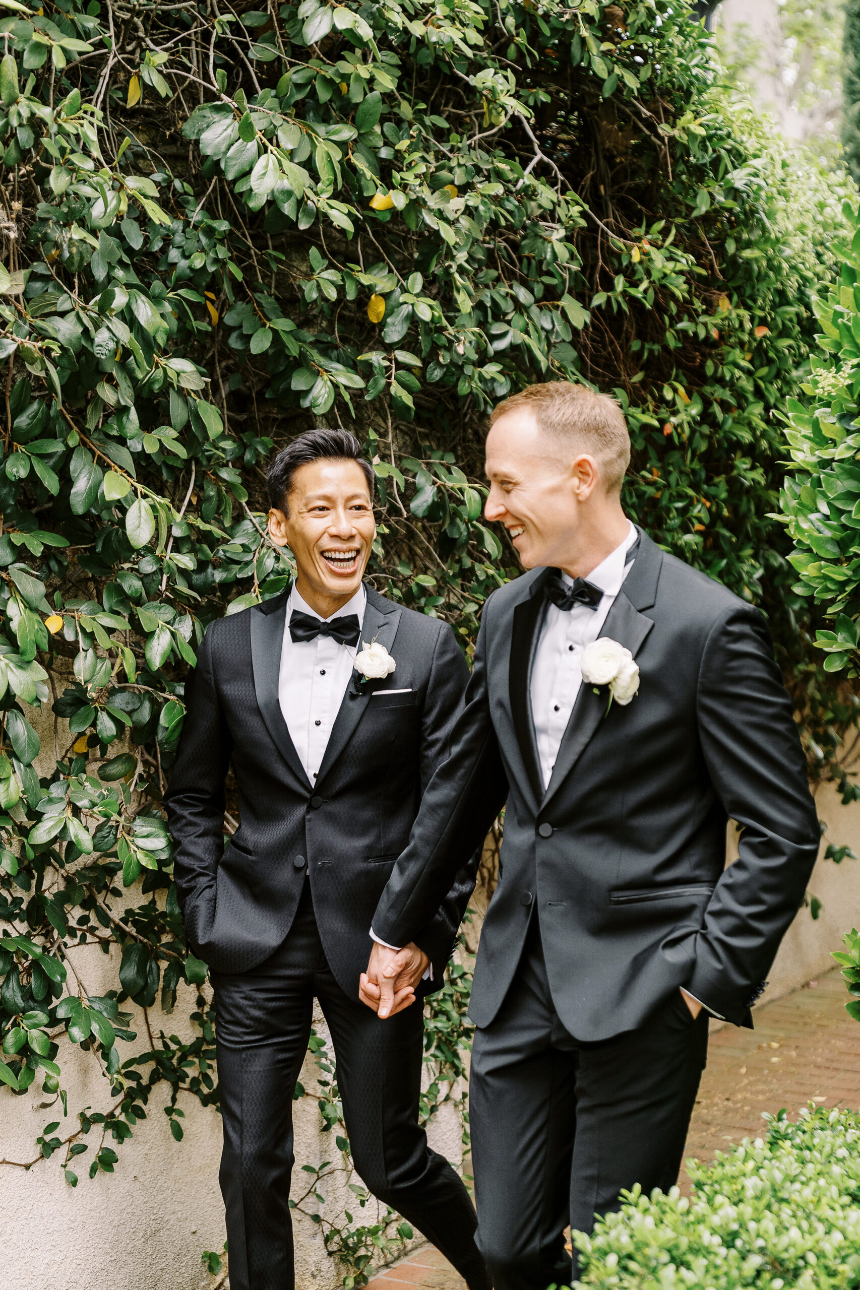 two grooms walk and laugh holding hands in front of an ivy covered wall at their vizcaya sacramento wedding