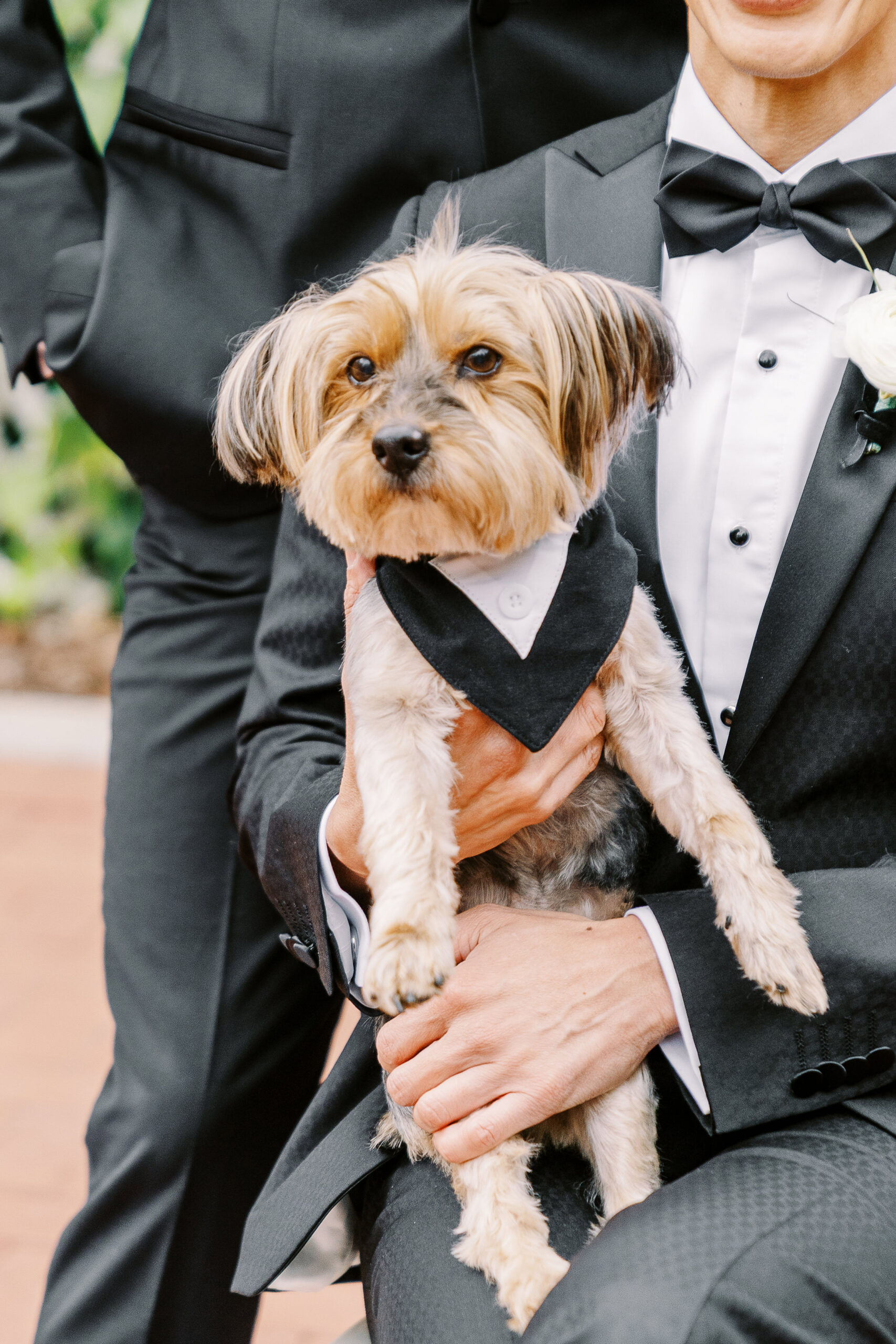 two grooms in black tuxes and bow ties pose for a portrait with their dog at the vizcaya sacramento wedding venue