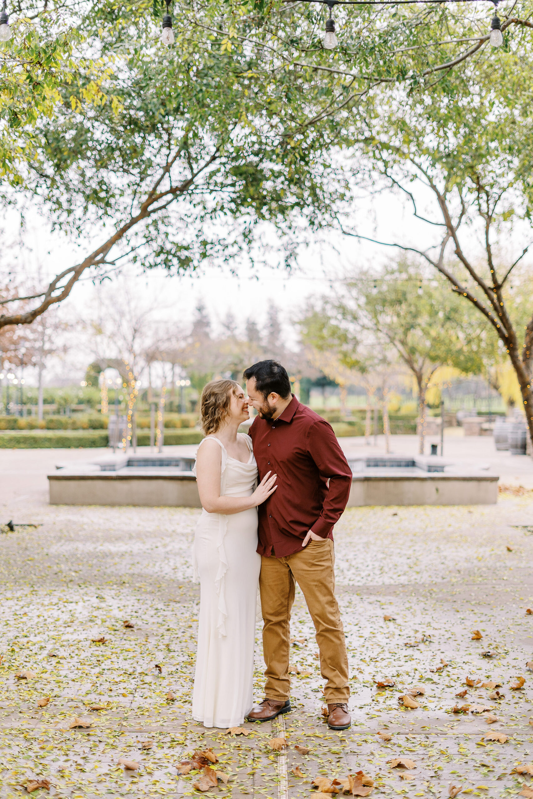 a couple shares a kiss under the trees during their sacramento wolfe heights winery engagement photos