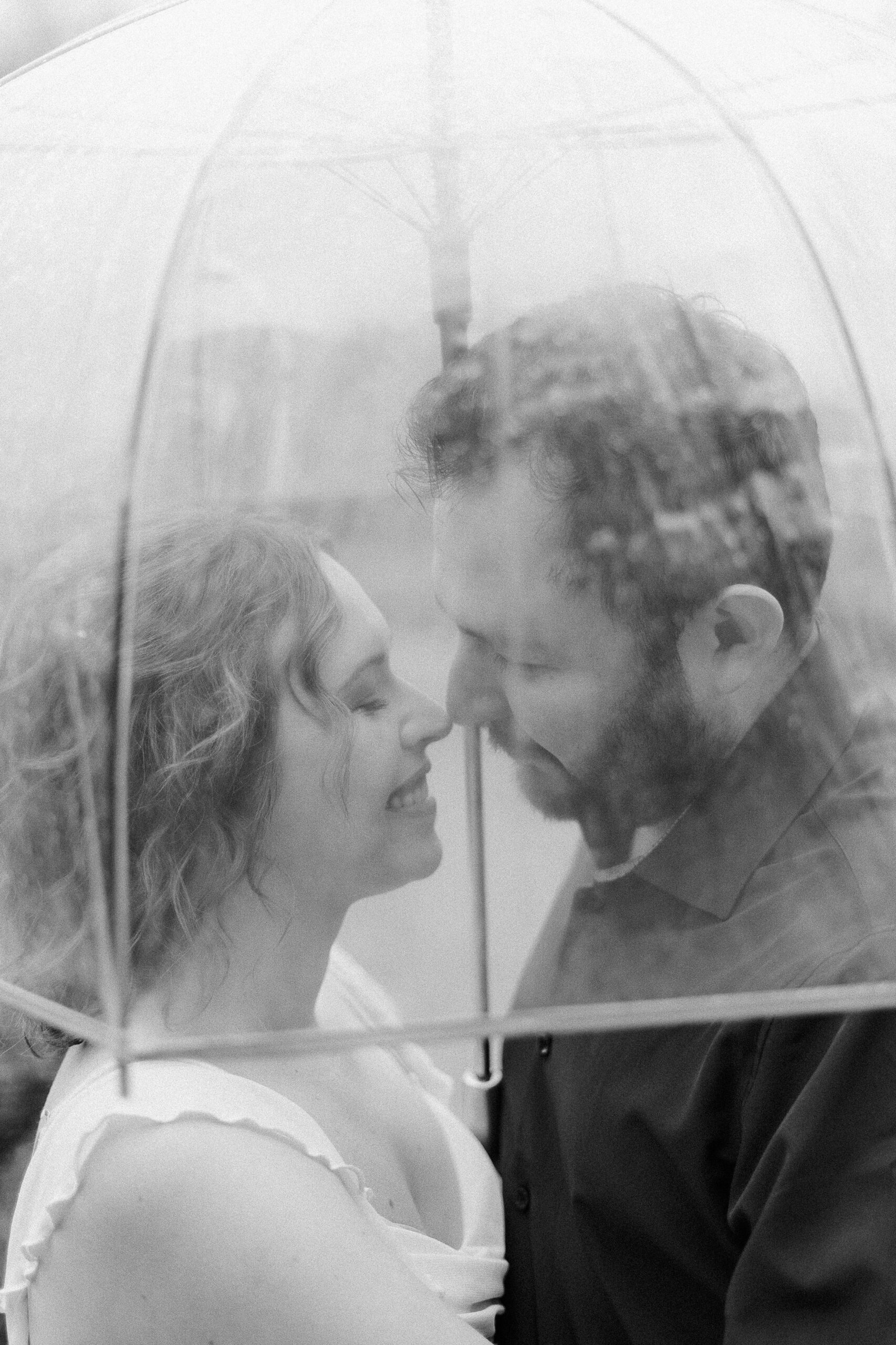 a couple nuzzling noses under an umbrella during their sacramento wolfe heights winery engagement photos