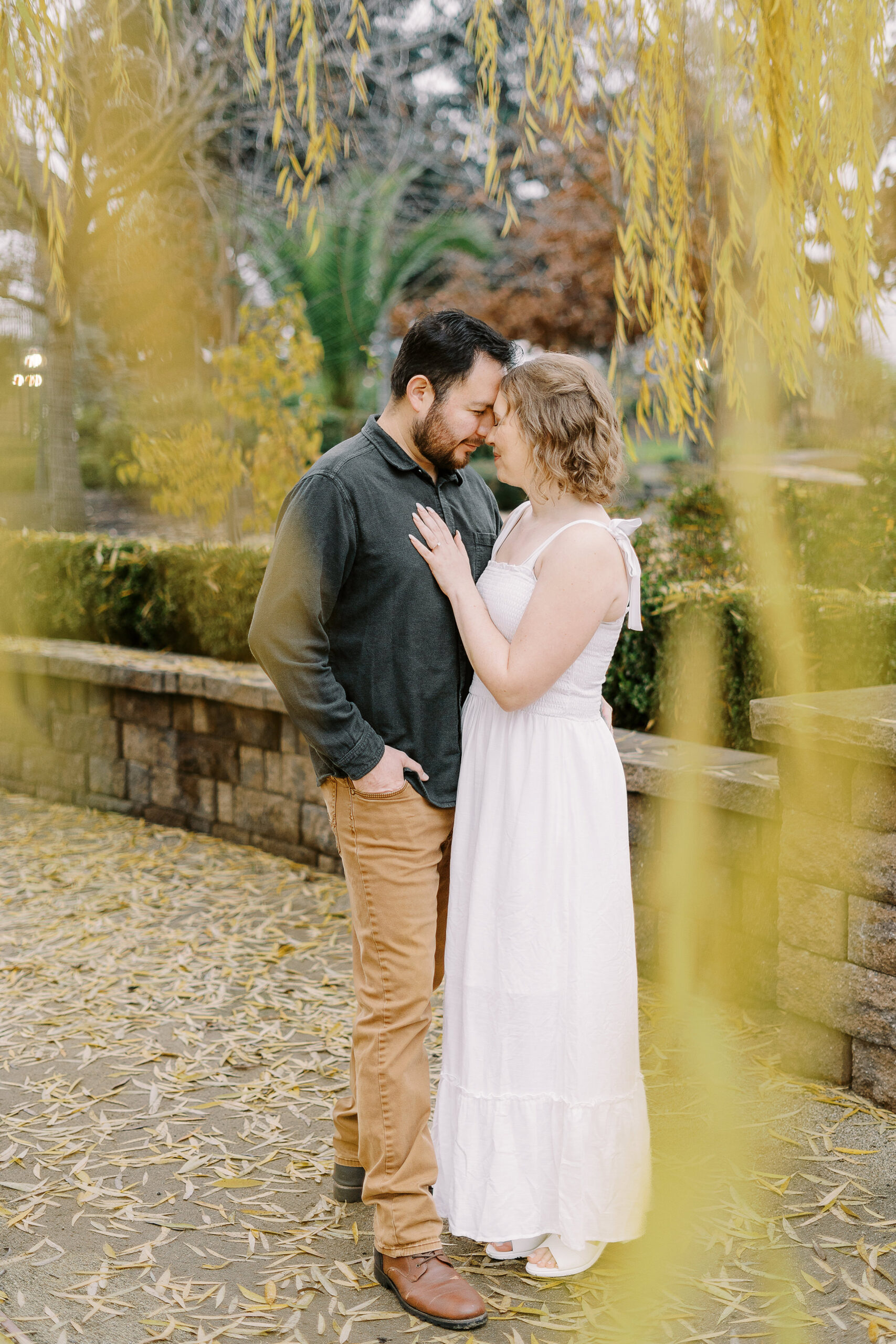 a couple nuzzling noses underneath a willow tree during their sacramento wolfe heights winery engagement photos