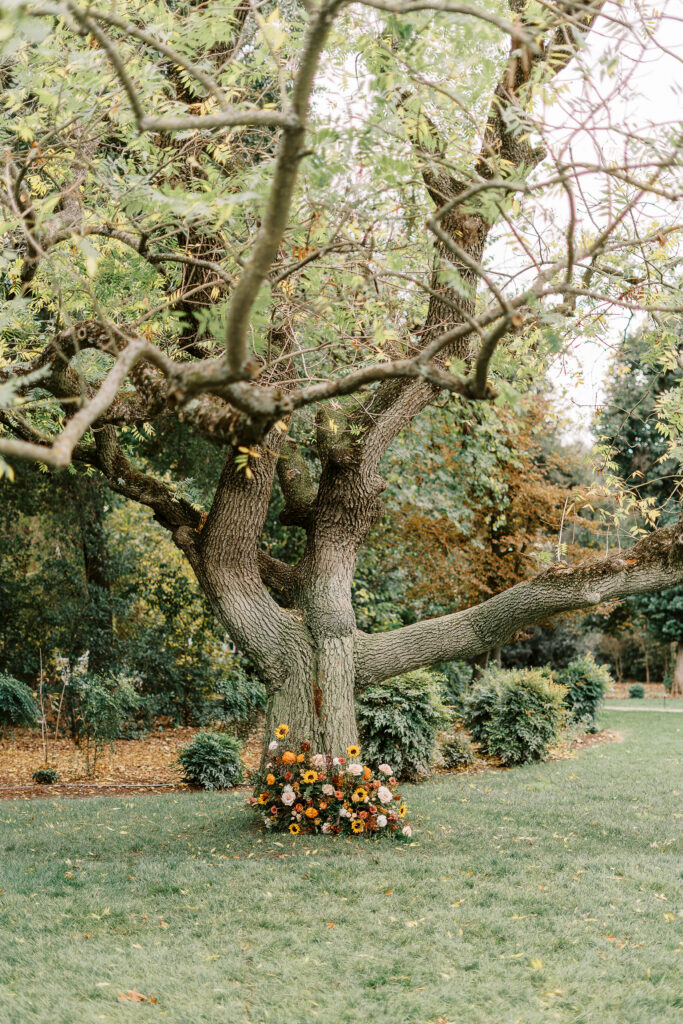 a wedding ceremony set up on the homestead main lawn at The Maples Woodland photographed by Sacramento wedding photographer